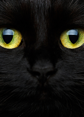 Roleta blackout cu model ochi de pisică
