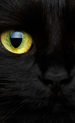 Roleta blackout cu model ochi de pisică