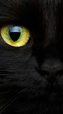 Roleta blackout cu model ochi de pisică