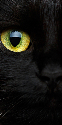Roleta blackout cu model ochi de pisică
