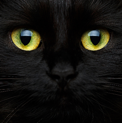Roleta blackout cu model ochi de pisică