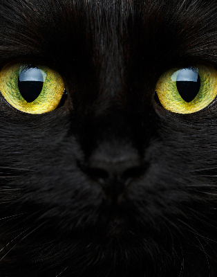 Roleta blackout cu model ochi de pisică