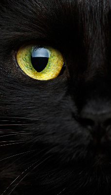 Roleta blackout cu model ochi de pisică