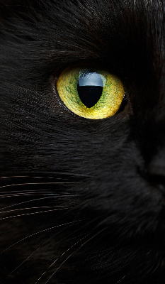 Roleta blackout cu model ochi de pisică