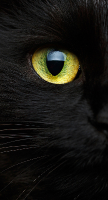 Roleta blackout cu model ochi de pisică