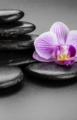 Roleta blackout cu model Orhidee pe pietre