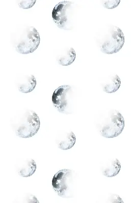 Perdea roleta luni
