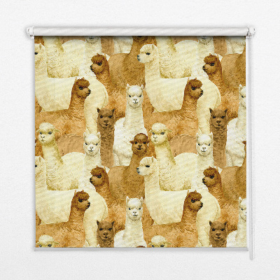 Roletă blackout cu modelul „O turmă de alpaca”