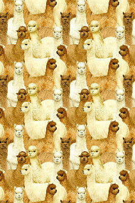 Roletă blackout cu modelul „O turmă de alpaca”