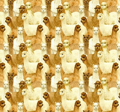 Roletă blackout cu modelul „O turmă de alpaca”