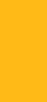 Roletă blackout portocalie
