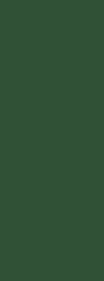 Roleta blackout verde