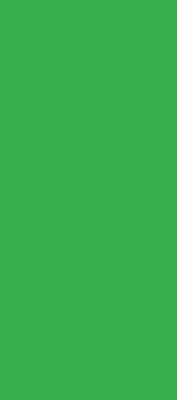 Roleta opaca verde