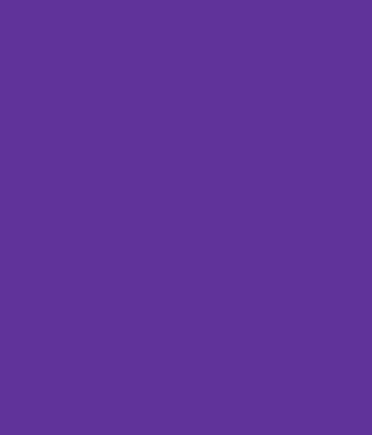 Roleta opaca violet