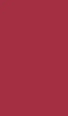 Perdea roleta claret