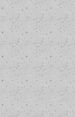 Roleta opacă Pete