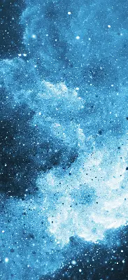 Roleta opacă cosmos
