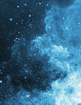 Roleta opacă cosmos