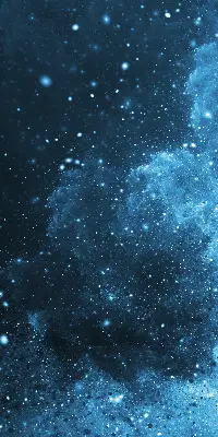 Roleta opacă cosmos
