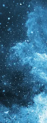 Roleta opacă cosmos