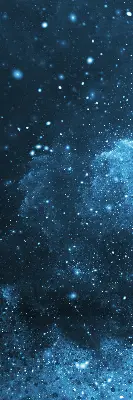 Roleta opacă cosmos