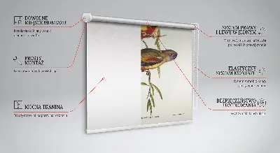 Roletă opacă cu două păsări pe o creangă