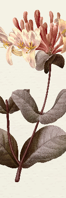Perdea roleta floare care cade