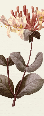 Perdea roleta floare care cade