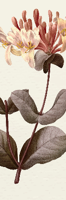 Perdea roleta floare care cade