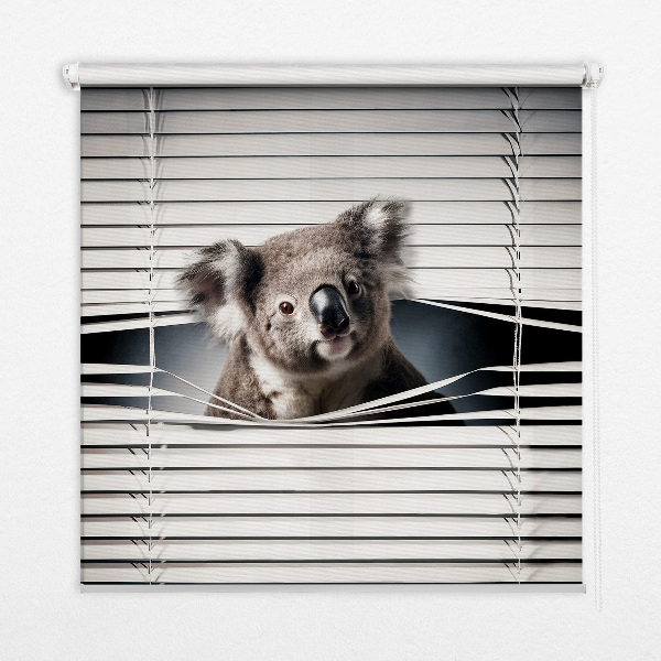 Roletă opacă koala