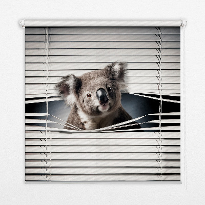 Roletă opacă koala