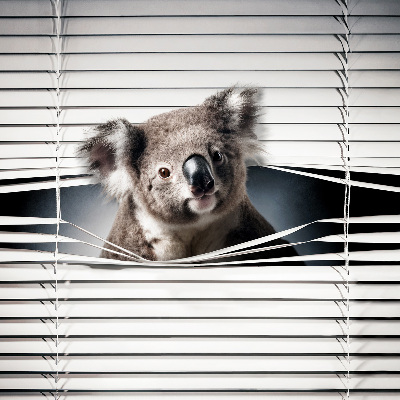 Roletă opacă koala