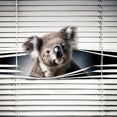 Roletă opacă koala