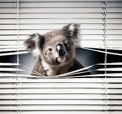 Roletă opacă koala