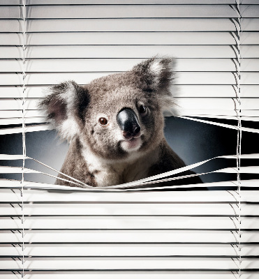 Roletă opacă koala