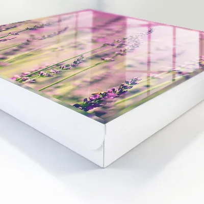 Cutii pentru chei Grădina violetă