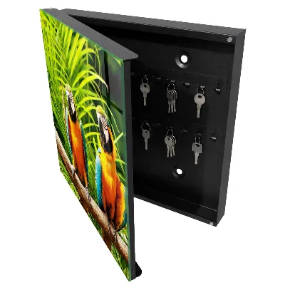 Cutii de chei Păsări tropicale