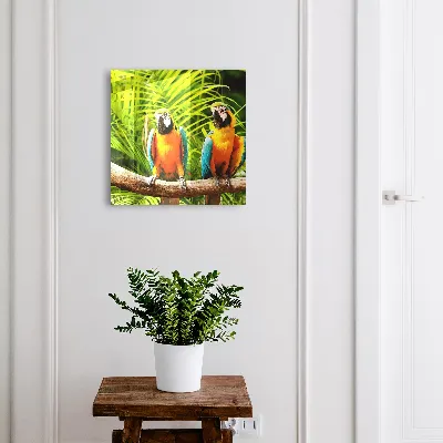 Cutii de chei Păsări tropicale