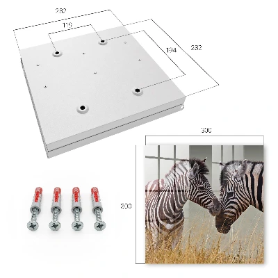 Cutii pentru chei Zebre împreună