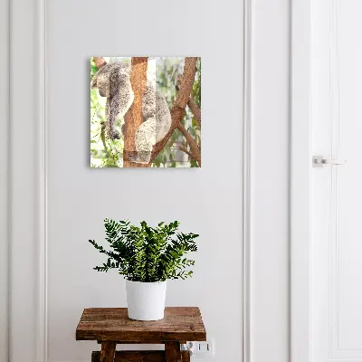 Cutii pentru chei Relaxare koala