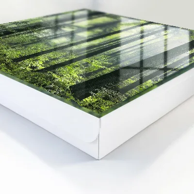 Cutii de chei Pădurea verde