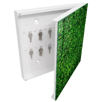 Cutii pentru chei Grădină verde