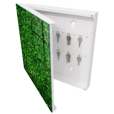 Cutii pentru chei Grădină verde