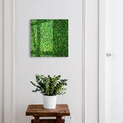 Cutii pentru chei Grădină verde