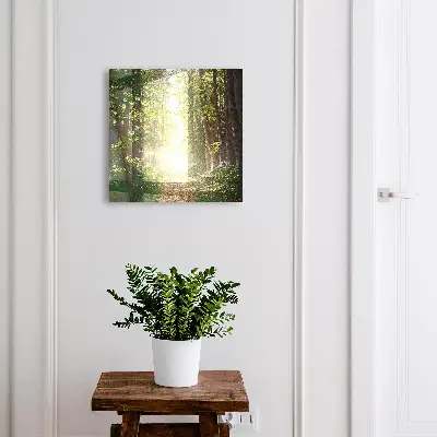 Cutii de chei Peisaj forestier