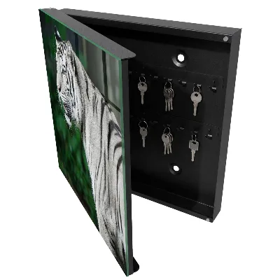 Cutii de chei Tigru alb
