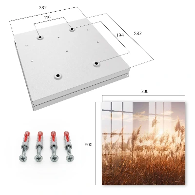 Cutii pentru chei Apus de soare pe iarbă
