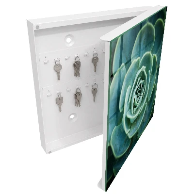 Cutii de chei Rozetă verde