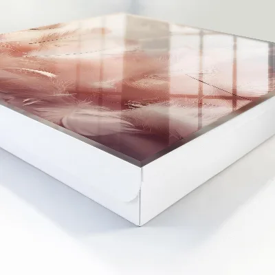 Cutii de chei Pene pastelate