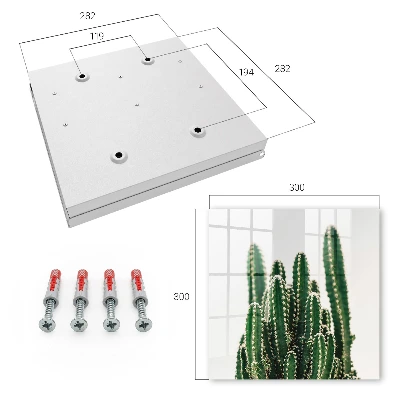 Cutii pentru chei Cactuși verzi
